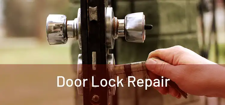  Door Lock Repair 