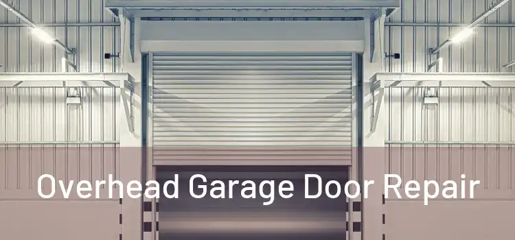  Overhead Garage Door Repair 